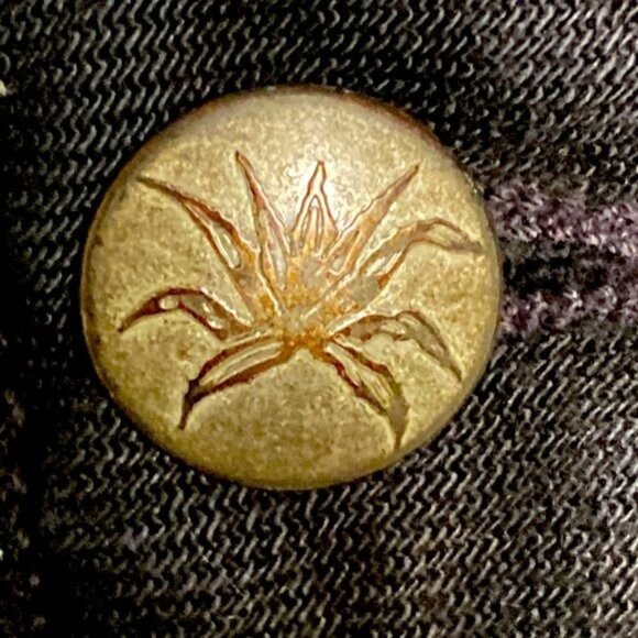 Agave Nectar Premium Denim Classic Straight Blackout Supima Flex Jet Black Jeans - Picture 5 of 13